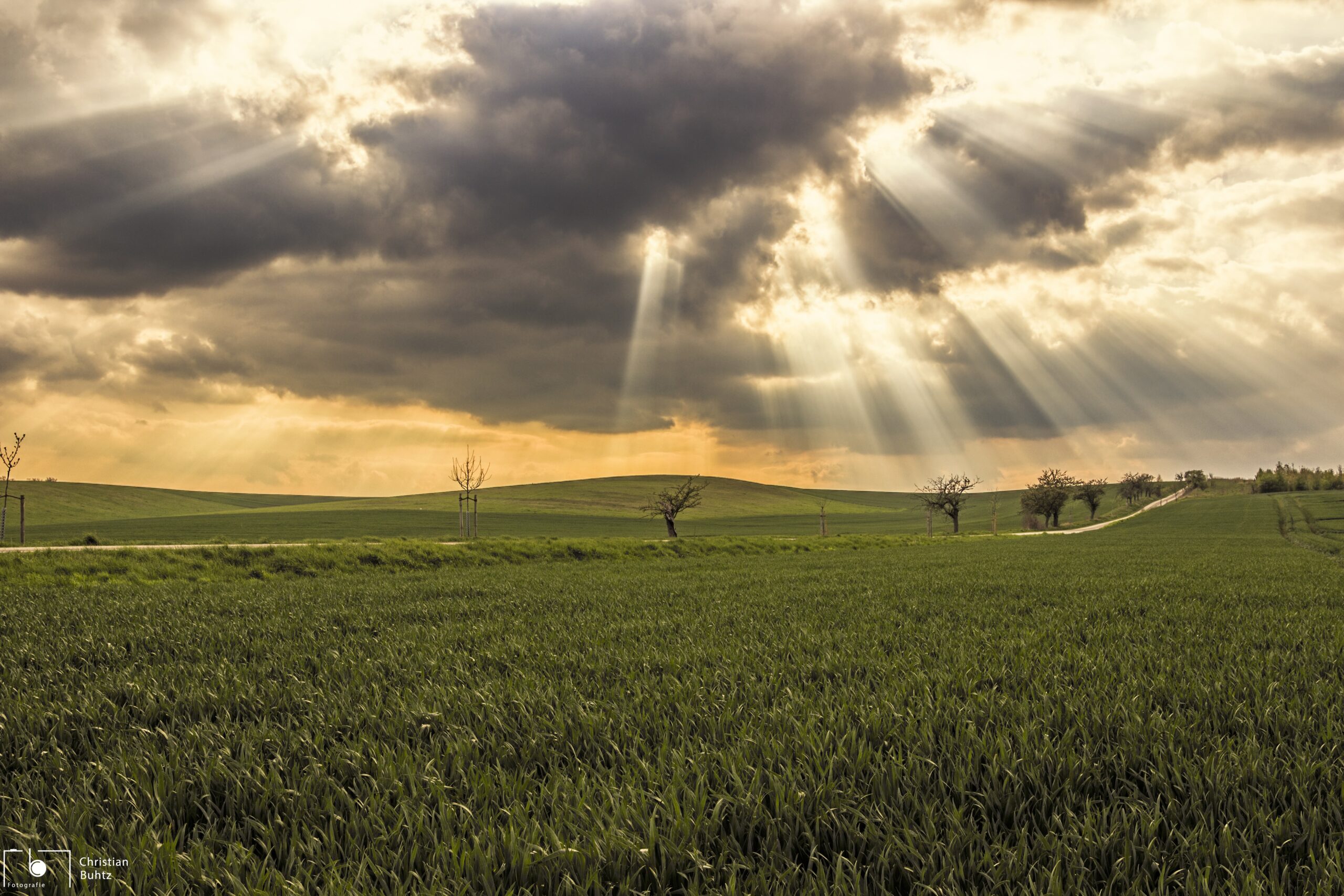 Landscape 1