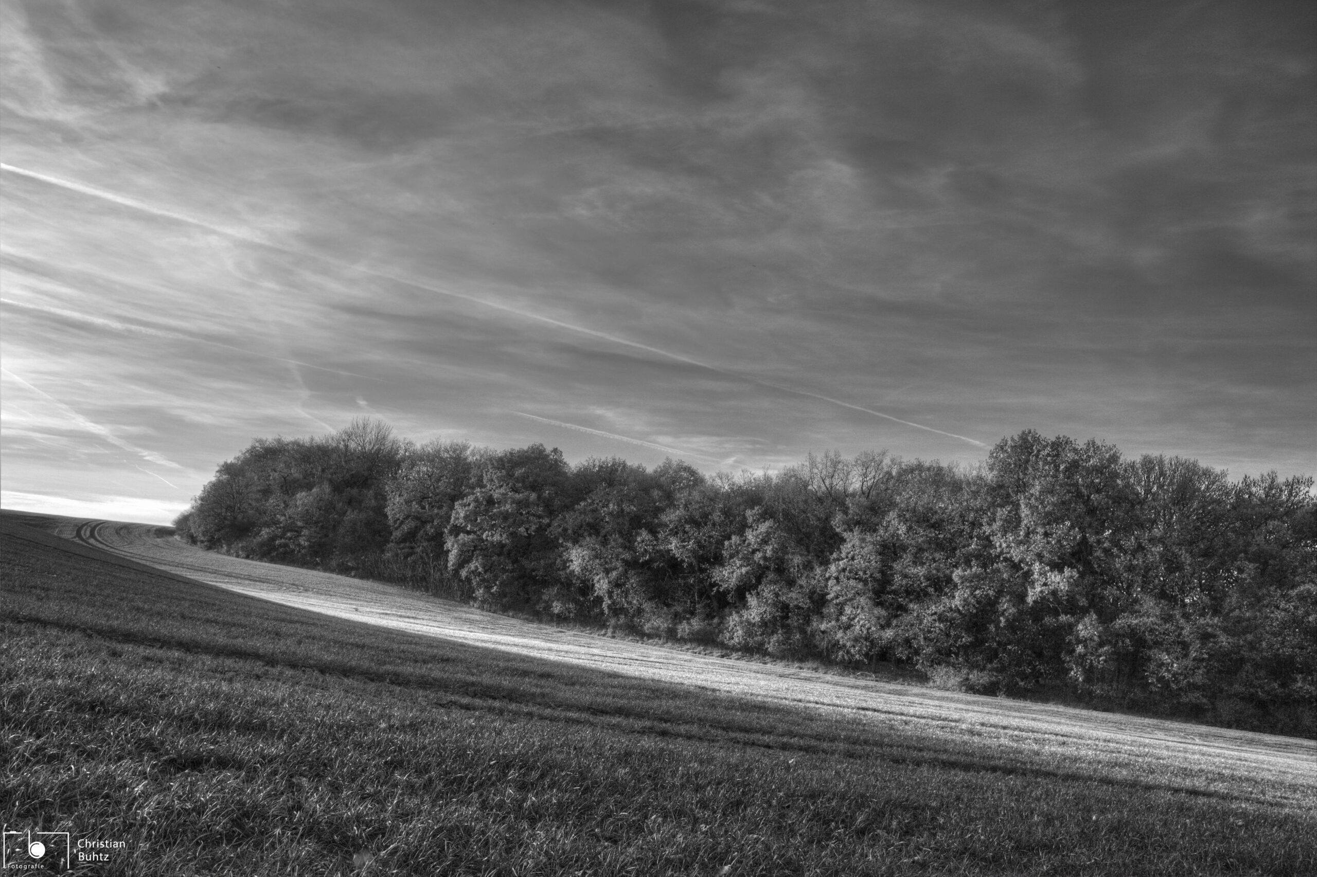 Landscape07