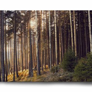 Harz-Hohneklippen